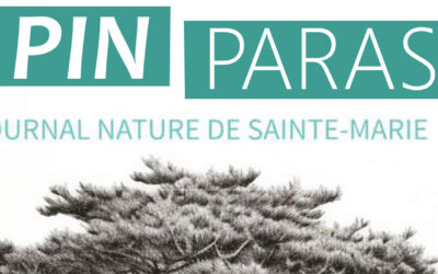 Le Pin Parasol: Journal Nature de Sainte Marie de Chavagnes 
