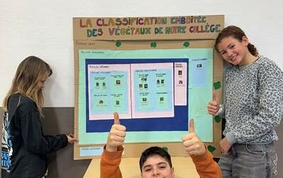DEFI n°2 – CLASSIFICATION DES VEGETAUX DE NOTRE COLLEGE avec la classe de 6ème F