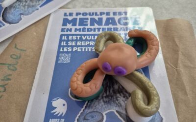 À la découverte du monde fascinant des poulpes !