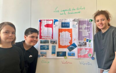 DEFI n°4 en 6F – impact des déchets sur notre environnement